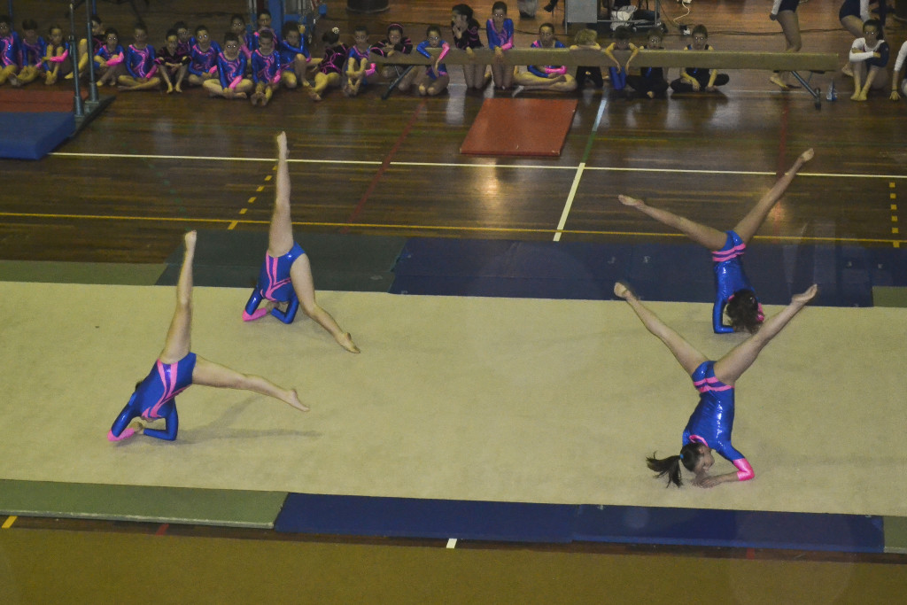 880DSC_0192_01