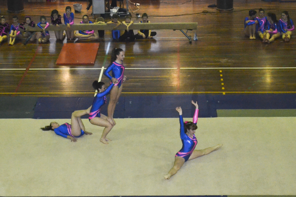 880DSC_0201_01
