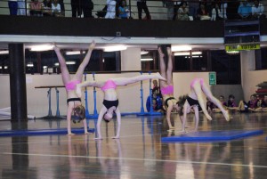 DSC_0001 (320)