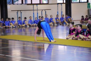 DSC_0001 (50)