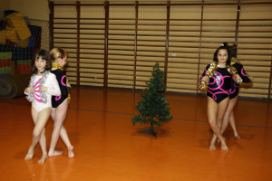 Gli addobbi dell'albero (232)