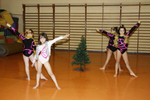 Gli addobbi dell'albero (235)