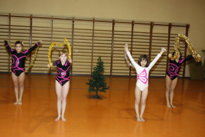 Gli addobbi dell'albero (239)