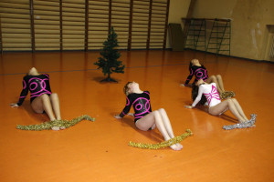 Gli addobbi dell'albero (243)