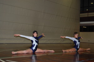 divise ginnastica 038